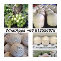 fresh young coconut ,fresh coconut , fresh namhom coconut , easy open - product's photo
